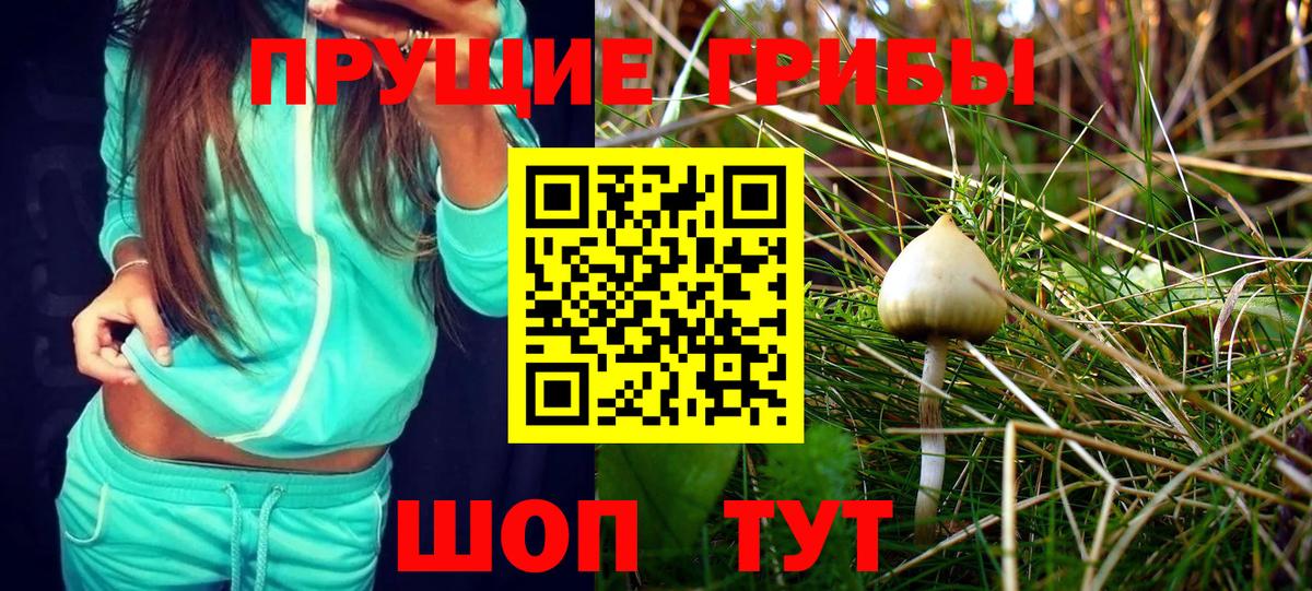Серпухов  Псилоцибиновые грибы MAGIC MUSHROOMS  где найти   Вход с VPN  Псилоцибиновые грибы Psilocybe 